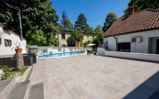 Boutique vila sa aktivnim biznisom